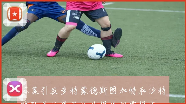 苏莱引发多特蒙德斯图加特和沙特球队关注罗马认为报价仍需提高